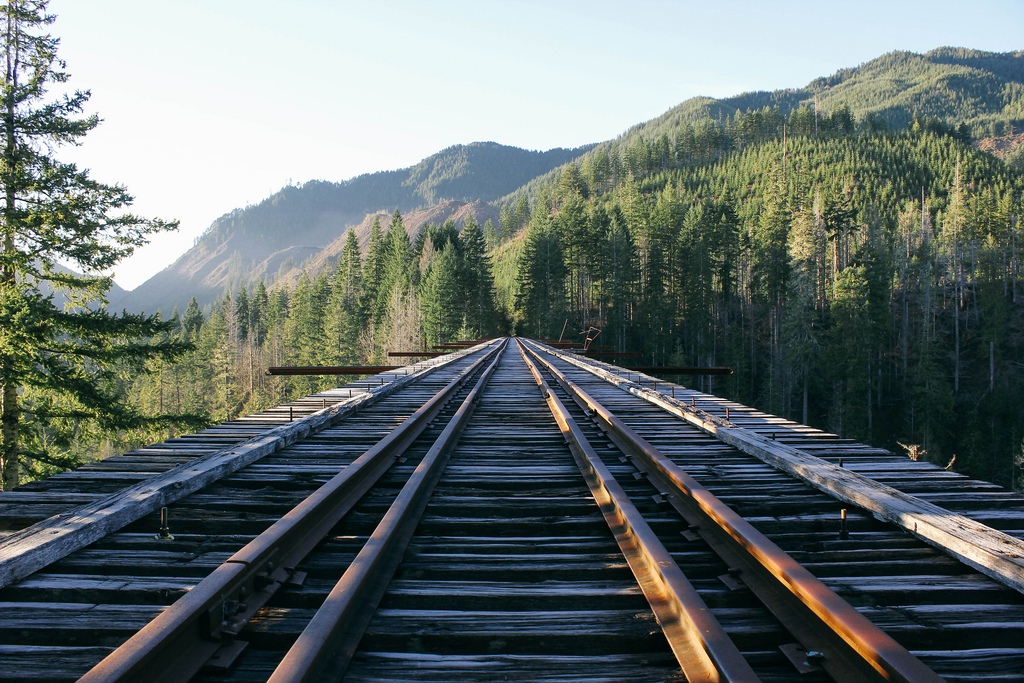 Vance Creek Bridge